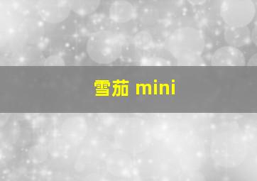 雪茄 mini